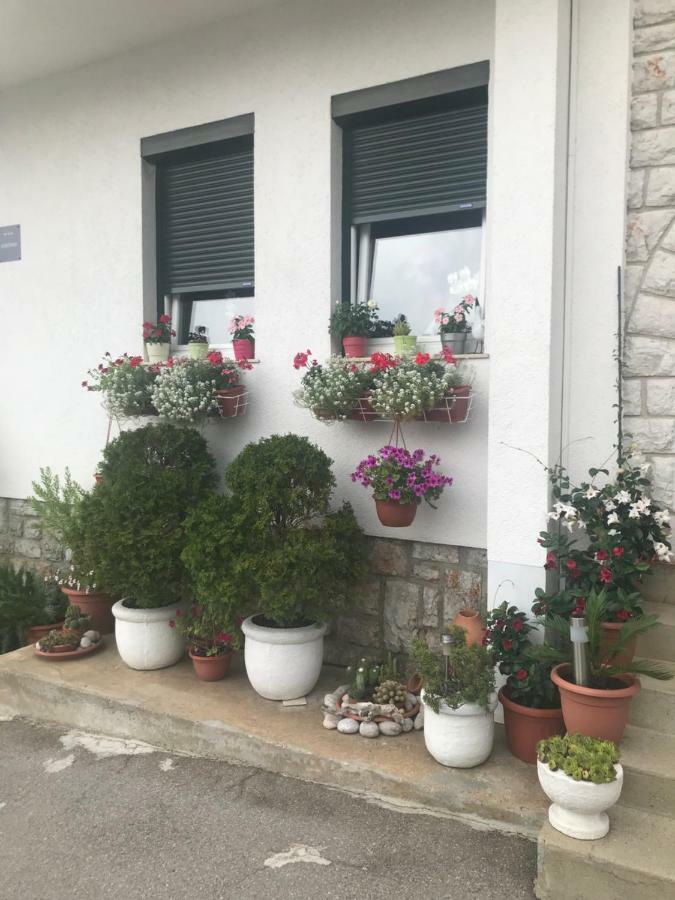 Apartments Porat 诺维·维诺多尔斯基 外观 照片
